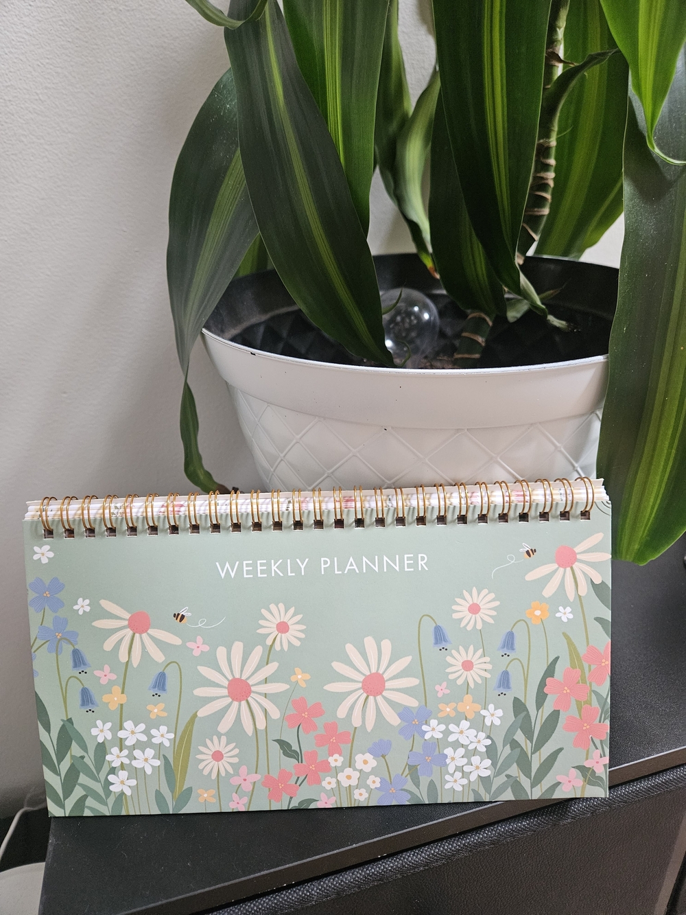 Floral Weekly Planner Desk Calendar - Mint Green